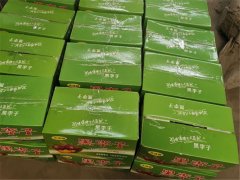 8月10日，利菲爾特開展高溫送清涼活動